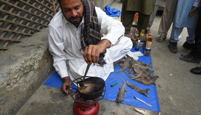 Pakistan People Opt Lizard Oil For Sexual Stamina Amid Ban On Viagra