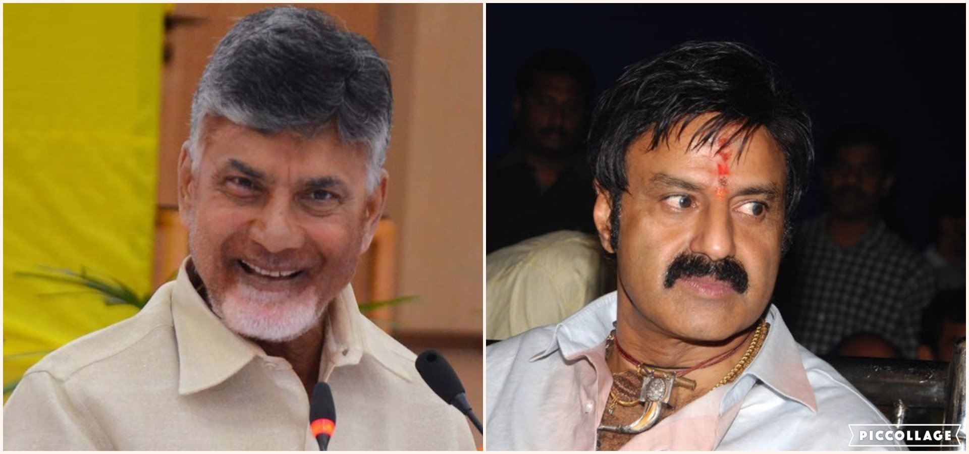 TDP MLA And Chandrababu Naidu's Brother In Law Assaults Journalist In ...