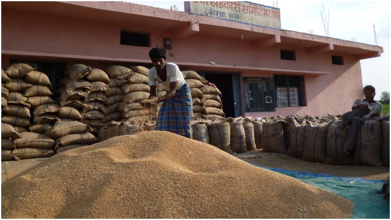 China factor behind India's decision to ban wheat exports: Read details