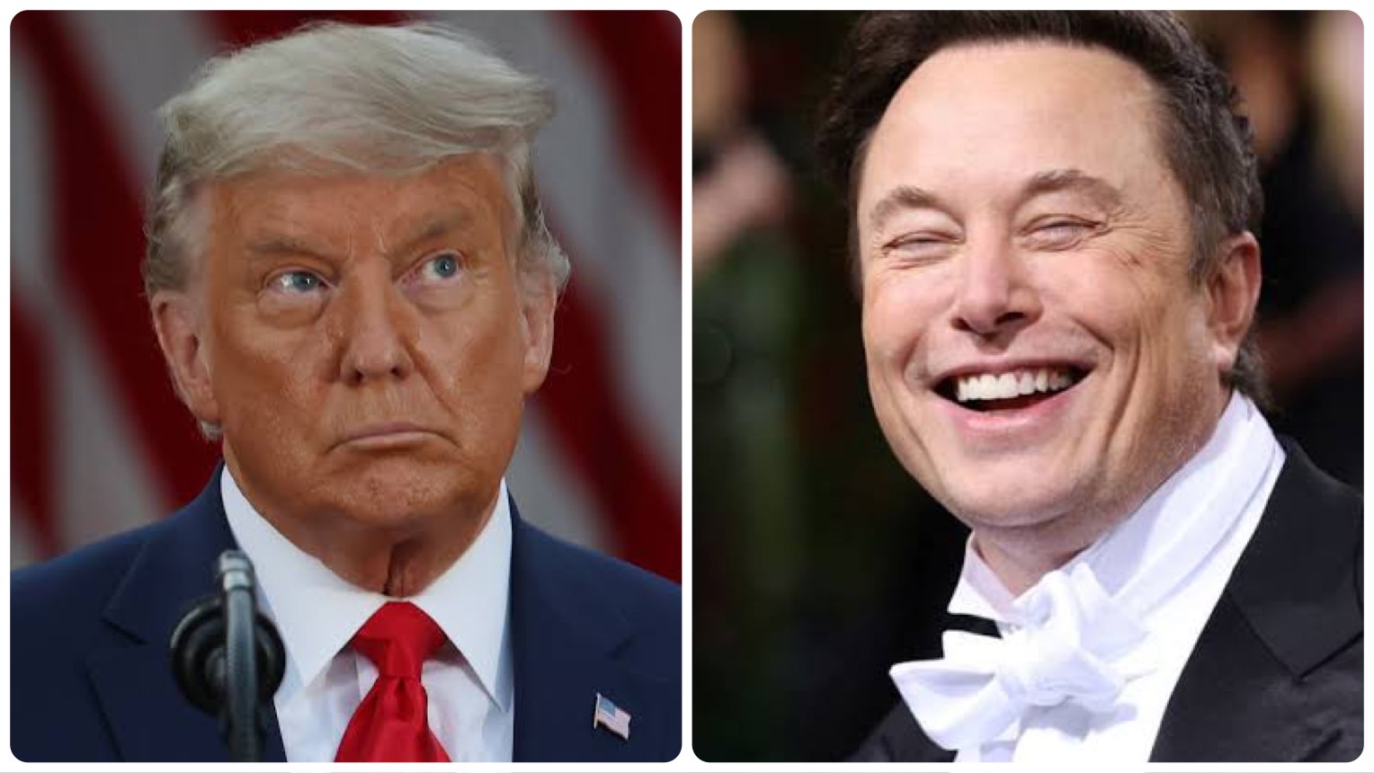 Donald Trump vs Elon Musk: War of words erupts between the ex-US Prez and world’s richest man