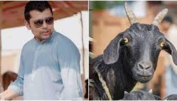 Pakistan: Sacrificial goat of Kamran Akmal stolen from his house in Lahore