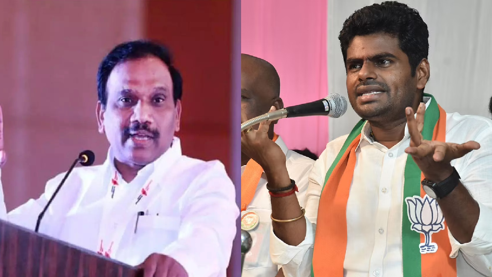 BJP condemns provocative statements of DMK MP A Raja against Hindus