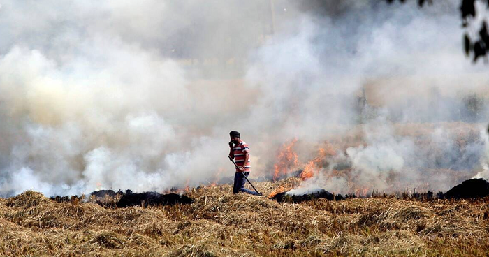 Stubble burning incidents in Punjab record 20 per cent rise, sending Delhi AQI into 'very poor' category