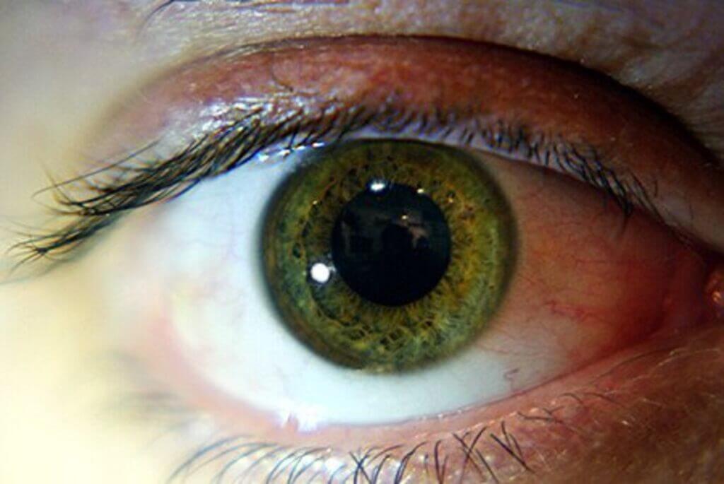 Eye movement holds clues to decisions made by humans: Research