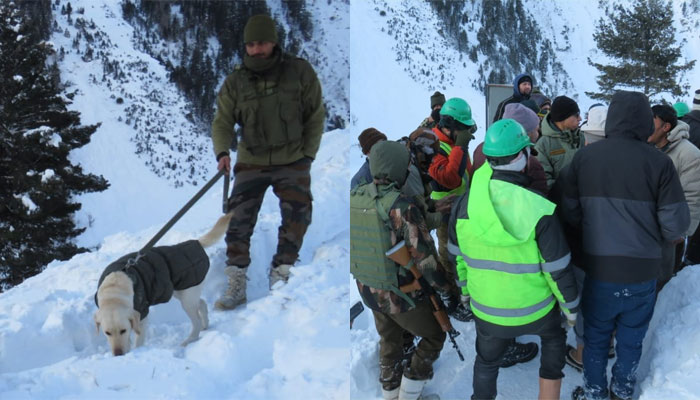 Jammu and Kashmir: How the Indian Army rescued 172 workers after an avalanche hit a tunnel construction site in Sonamarg