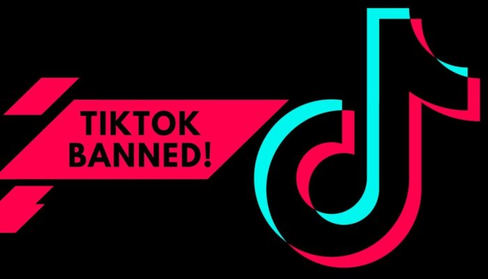 EU bans Chinese app TikTok from staff's devices over safety issues