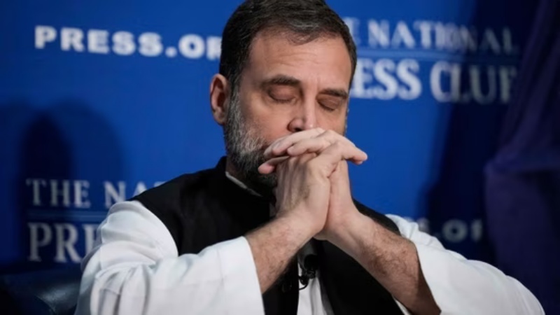 Rahul Gandhi in USA: Gandhi, Nehru, Ambedkar were NRIs