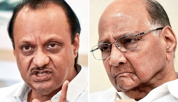 No split in the party: NCP chief Sharad Pawar over Ajit Pawar and other joining NJP-led alliance