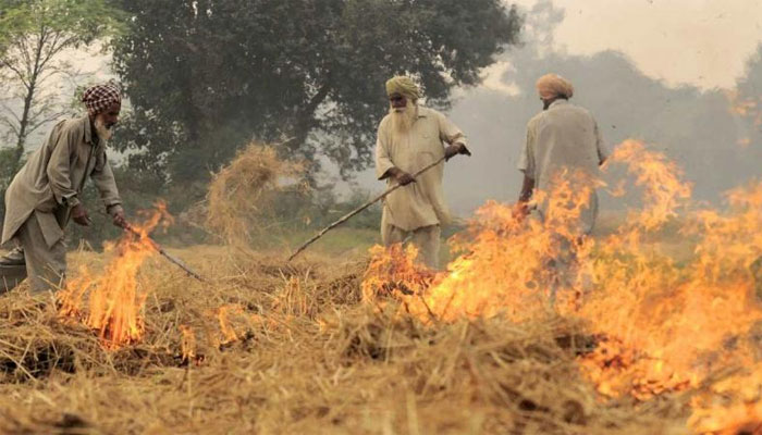 Punjab records 2,544 stubble-burning incidents in 24 hours, 2nd highest of the season