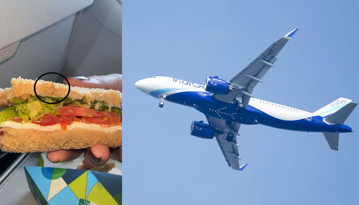 Passenger finds worms in a veg sandwich on an Indigo flight, video goes viral