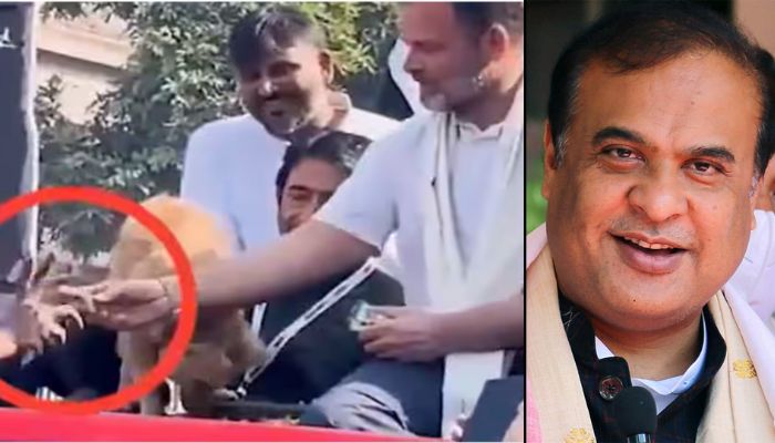 Rahul Gandhi hands biscuit, rejected by a dog to Congress worker during Bharat Jodo 'Nyay' Yatra