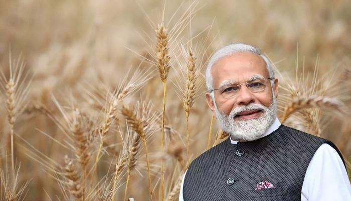 Modi govt spent ₹15.6 lakh crores on food grain subsidies in past 5 years, reveals RTI