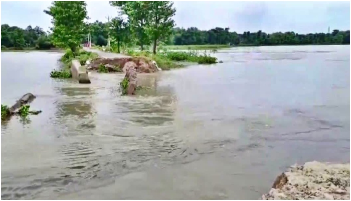 Araria: Another bridge collapses in Bihar, marks 15th incident in past one month, details