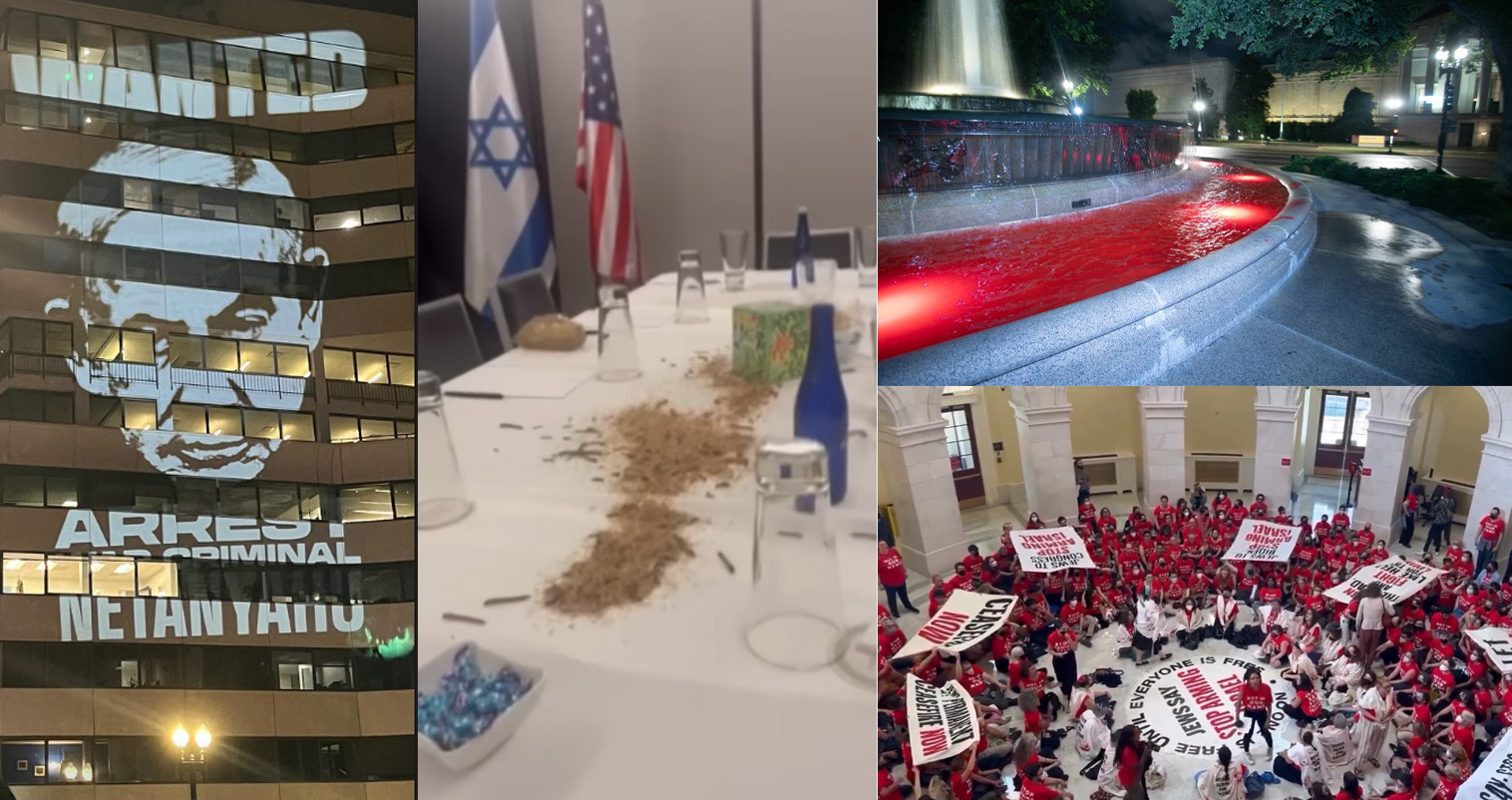 Pro-Palestine group releases insects at Watergate Hotel where Israeli PM Netanyahu was staying