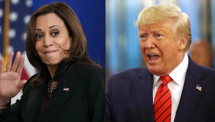 From illegal immigration to left politics, Donald Trump tears into Kamala Harris in latest Fox News interview