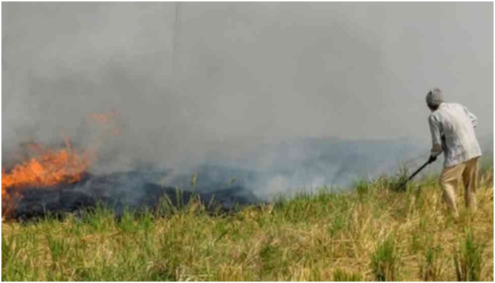 Stubble-burning incidents cross 10000 this year, highest incidents in Punjab followed by Madhya Pradesh