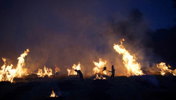 SC asks detailed information on Punjab stubble burning, says farmers can't burn stubble during specific hours