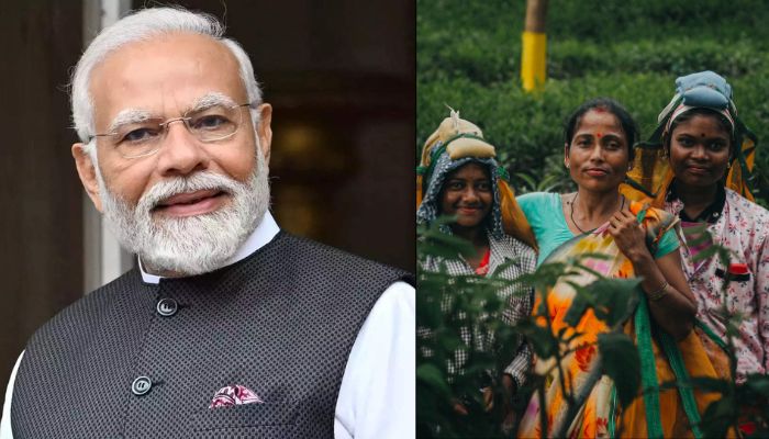 India witnesses drastic increase in female labour force participation rate under Modi govt since 2017