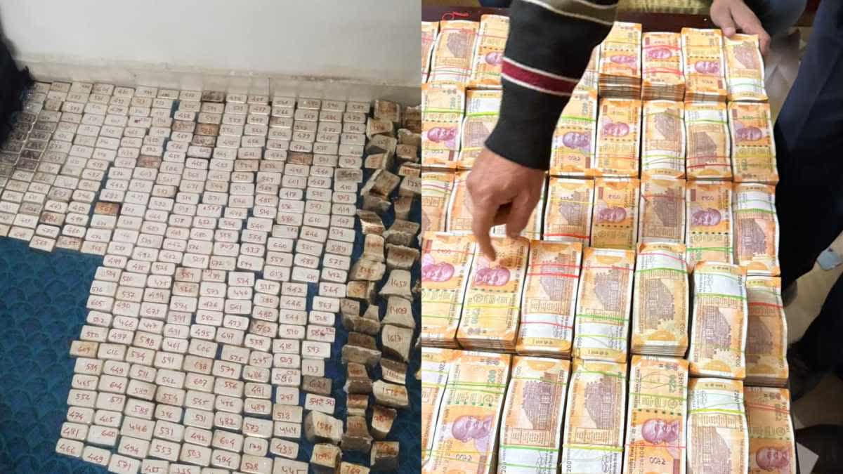 Madhya Pradesh: 4 crore cash, assets worth over 90 crores owned by absconding ex-constable Saurabh Sharma and family found, ED probes source of wealth