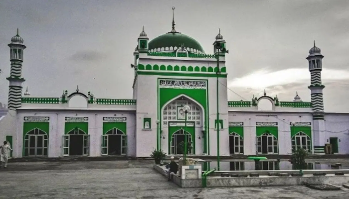 Evidence of temple found at Shahi Jama Masjid in Sambhal during survey